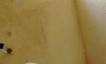 Imagem 6: Alugo - kitnet Kitnet com 1 dormitório