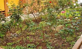 Imagem 4: Apto Lapa de baixo 2 dorm terreo 1 vaga otimo local