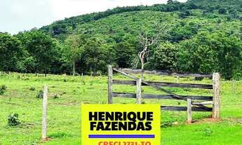 Imagem 4: Fazendas 114,7 alqueires a venda dupla aptidão região Serra da Lopa TO