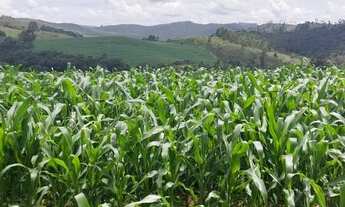 Imagem: Oportunidade! Belíssima Fazenda de 75 Alqueires