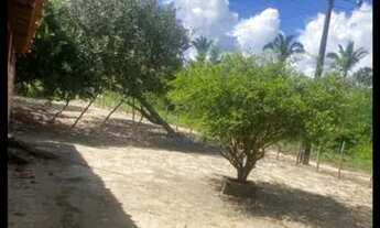 Imagem 2: Sítio União Piauí zona rural povoado ema RECEBO CARRO NA TROCA