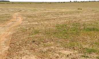 Imagem 2: FAZENDA COM 250 ALQ - PECUÁRIA E CULTURA - MONTADA - BEIRA DA PISTA - CÓRREGO E RIO - ROSA