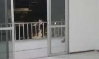 Imagem: APARTAMENTO PARA LOCAÇÃO NO CONDOMÍNIO