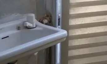 Imagem 5: Alugo casa em Pau amarelo