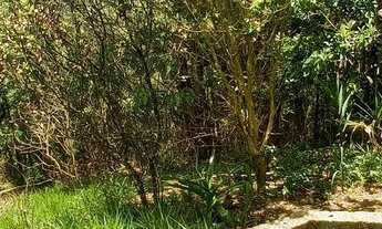 Imagem 7: Terreno 3.600m², topog. 70% declive leve, 20% declive médio, 10% acentuado, 30 min da Capi