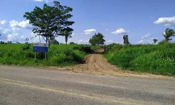 Imagem 5: Vendo uma ótima área de 250 hectares