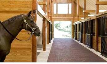 Imagem 2: Lote de 20 x 30 mts p/ transferência) nas Chácaras Fazenda 2