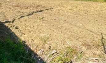 Imagem: FIT - Carvão - Área Rural - 23.000m²