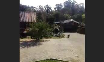 Imagem 2: Sítio Chácara com venda por R$280.000