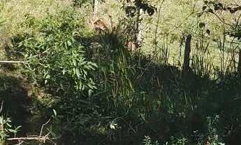 Imagem 2: Sítio p.grande Chácara com venda por R$395.000