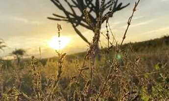 Imagem 3: Vendo sítio em Milagres