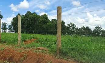 Imagem 5: Chácara de 38 mil metros em Bela Vista de Goiás