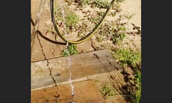 Imagem 6: Terreno para sítio