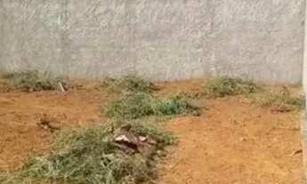 Imagem 2: Lote de 400m² na 26 Setembro