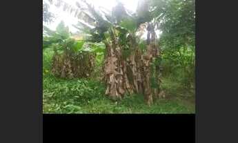 Imagem 6: Vendendo terreno