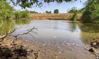 Imagem 4: Fazenda de 20 alqueires em Trindade Go