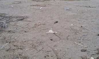 Imagem 2: Vende-se terreno