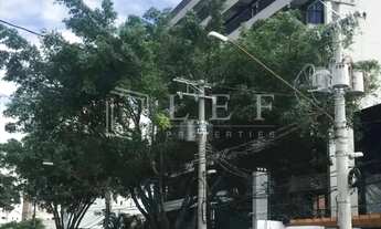 Imagem 2: Rua M.M.D.C Galpão / depósito com 3 vagas na garagem