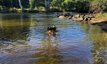 Imagem 2: Chácara próxima a Boipeba - com rio
