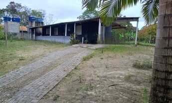 Imagem 5: 230 mil reais chacara urbana pomar produzindo