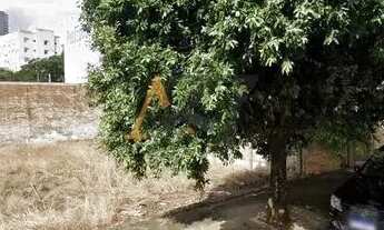 Imagem 5: Terreno de 250m² à venda no Parque Estoril - SJRP, SP