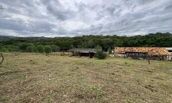 Imagem 5: Fazenda 21 ha, com casa, sede e duas casa de caseiro, lagoa, córregos nos fundos