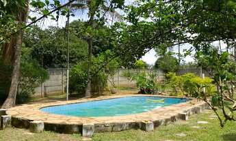 Imagem 7: Aluguel Carnaval 2.500