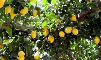 Imagem: Terreno amplo e barato em Ibiúna, doc ok