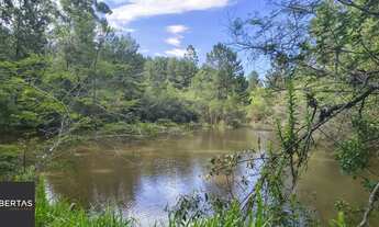 Imagem 7: Sítio em Centro