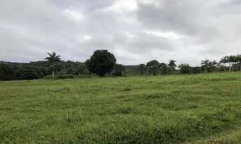 Imagem 2: Vendo terreno com 520.000,00 mil m2, na AM 010