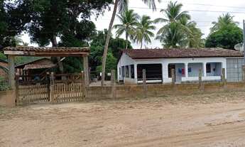 Imagem 6: Sítio para vender ( Povoado Baixa de Areia