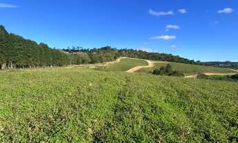 Imagem 7: Imóvel para venda tem 600 metros quadrados em Centro (Caucaia do Alto) - Cotia - SP
