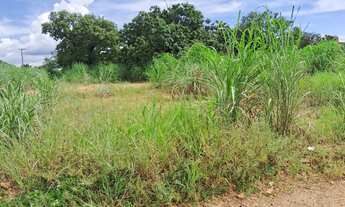 Imagem 3: Vende se lote, setor irmã dulce