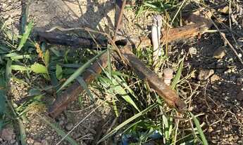 Imagem 5: Vende se lote no Corumbá 4