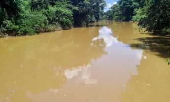 Imagem 3: Sitio 9 hectares e meia valor 295.000