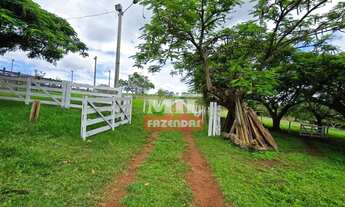 Imagem 6: Chácara 9 alqueires (43 hectares) Leopoldo de Bulhões - Go