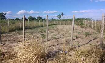 Imagem: Vende-se terreno em Irará