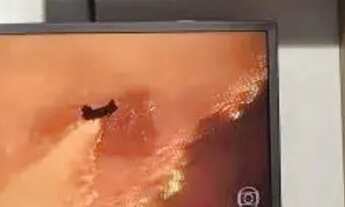 Imagem 3: APARTAMENTO - PERDIZES - SP