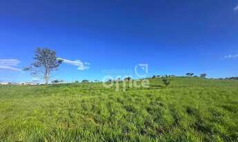 Imagem 3: Área à venda, 29860 m² por R$ 20.604.400,00 - Setor Industrial Aeroporto - Anápolis/GO