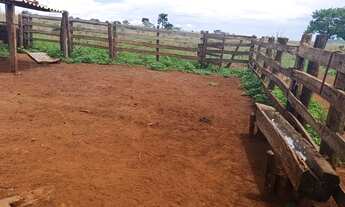 Imagem: Linda sítio a venda todo empastado