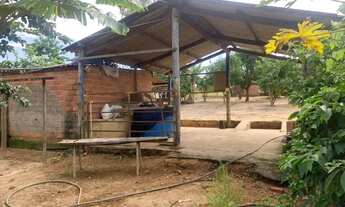 Imagem: Chácara com 48.400 m² à venda por R$