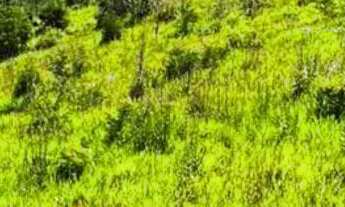 Imagem 4: O MELHOR INVESTIMENTO ESTÁ AQUI! LOTES EM UMA REGIÃO EMCRESCIMENTO E CALORIZAÇÃO! SAIBA M