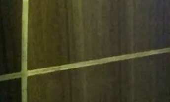 Imagem 5: Apartamento 2/4 sala, cozinha, aérea de serviço e banheiro em nova cidade, SG valor 1.400