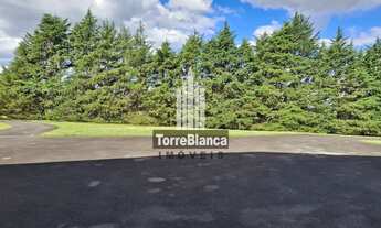 Imagem 7: Chácara à venda, em Frente à Pista Aeroclube de Balsa Nova, São Luiz do Purunã, Balsa Nova