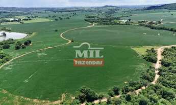 Imagem 5: Fazenda 68,8 alqueires (333 hectares) Morrinhos - Go