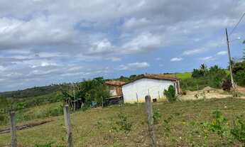 Imagem 3: Vendo terreno lote em Salgado