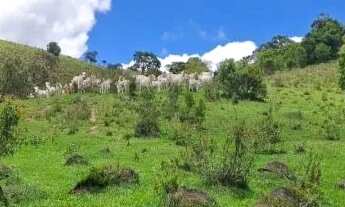 Imagem 3: Terreno em Cunha