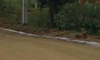 Imagem: TERRENOS EM IGARATÁ COM ÓTIMA LOCALIZAÇÃO