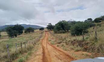 Imagem 3: Boa fazenda para produção criação, com sede de alto padrão , curral, poço e aguadas