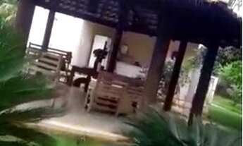 Imagem 4: Chacara em Condominio Fechado em Trindade - Oportunidade!!!